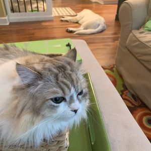 Meet your Posher, Kathryn